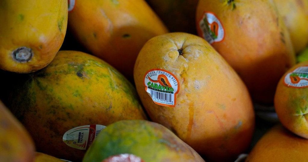 Τα πέντε φρούτα με την υψηλότερη περιεκτικότητα σε βιταμίνη C δεν είναι τα πορτοκάλια ή τα λεμόνια